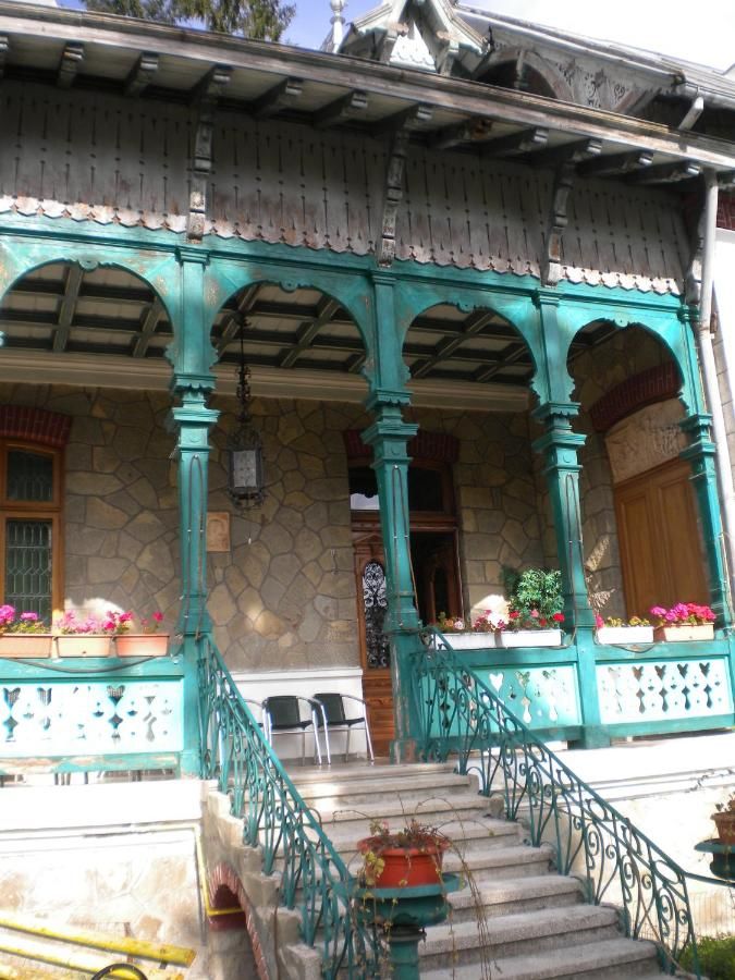 Виллы Olala Vila Sinaia Синая-22