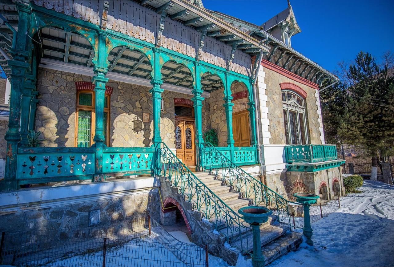 Виллы Olala Vila Sinaia Синая-5