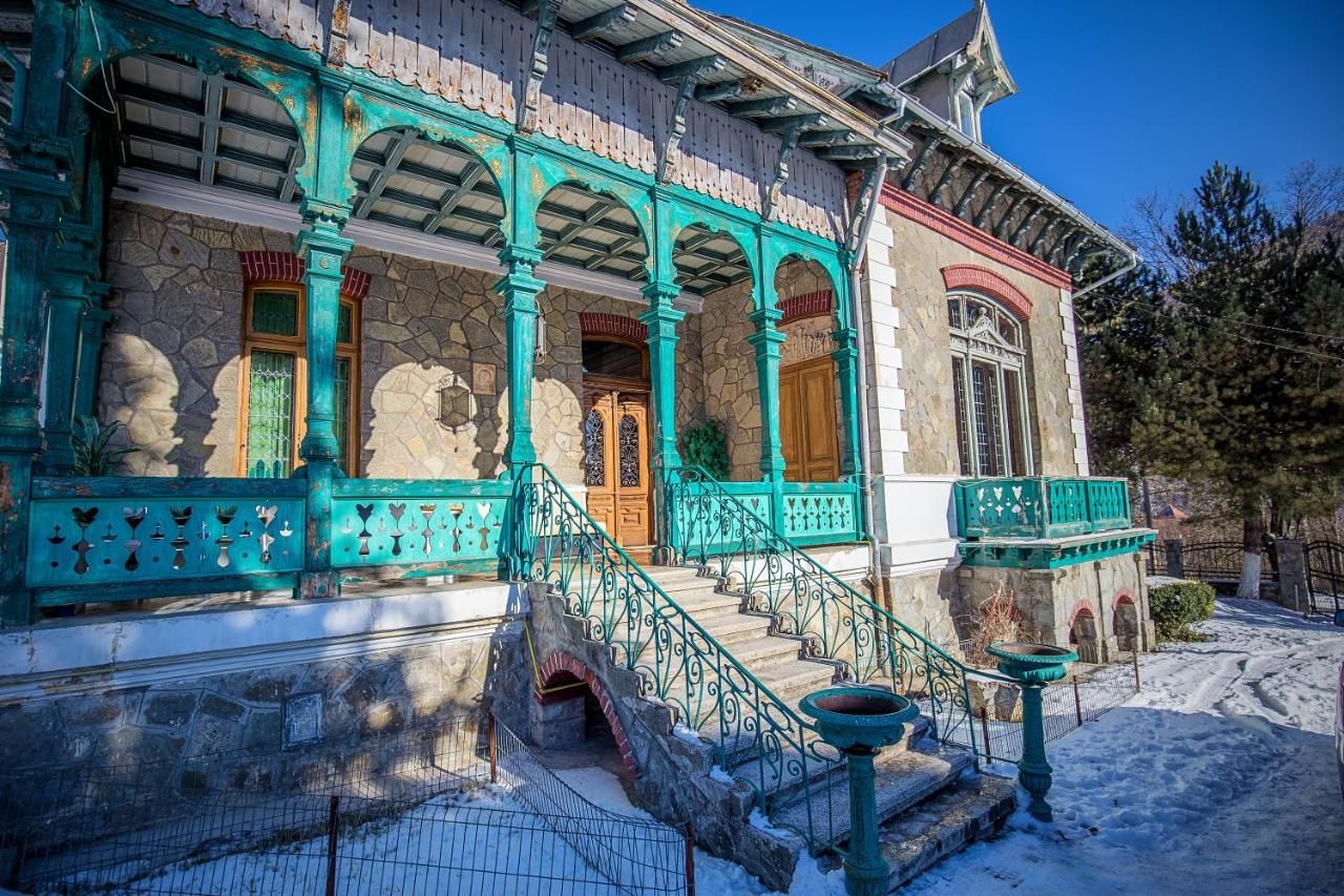 Виллы Olala Vila Sinaia Синая-29