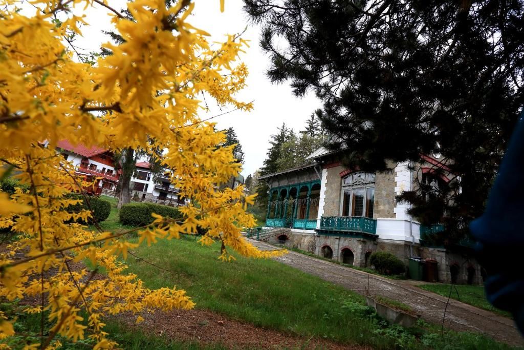 Виллы Olala Vila Sinaia Синая-52